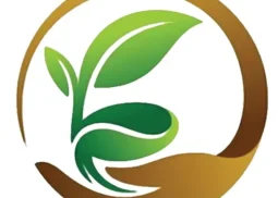 İngiltere Gayrimenkul Yatırım Danışmanlığı - Seeds Real Estate